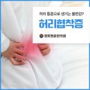 영춘한의원 네이버블로그