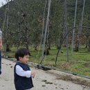 솔내음농장 이미지