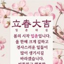 입춘대길(立春大吉), 건양다경(建陽多慶) 이미지