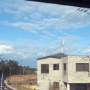 투스노스 이미지