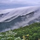 삼곡 | 거림~세석산장~영신봉~음양샘~석문~삼신봉~청학동
