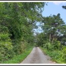 금산사길 이미지