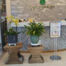 김정희에스테틱 이미지