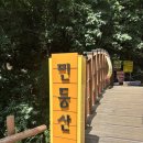 민둥산햇살좋은펜션 | 한국의 알프스, 민둥산 돌리네 증산초교 8월 등산 코스/후기