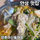 신동태탕.찜 | 안성 원곡 맛집 [양푼이신동태탕] 솔직 후기