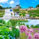 공주 수국축제 마곡사 공산성 아너드투어 국내당일여행