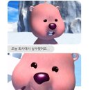 홍익제주호텔 | 여전히 힘들었지만 함께여서 행복했던, 나의 두번째 브리즈번 비행일기✈️