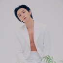 아우레올라(Aureola)