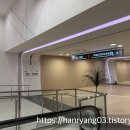 2119 | 김포 -> 오사카 대한항공 KE2119편 A321-Neo 프레스티지석 탑승 후기 김포공항 국제선 터미널 대한항공...