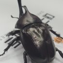 장수마트 이미지