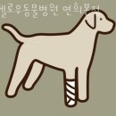 헬로우동물병원 이미지