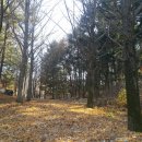 오희문 묘 이미지