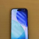 iPhone 17 Pro Max 딥 블루 1TB 자급제 약 3달 사용 후기 요약