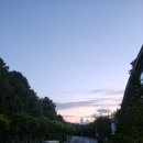 청구성심병원 | &lt;장례 후기&gt;평화롭고 기쁨이 넘치는 세상을 실현하신...서울청구성심병원 효누리 후불제상조 후기