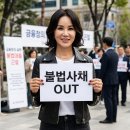 대부업 규제와 대부업마저도 애타게 필요로 하는 국민들과 금융당국... 전체를 조율하는 듯한 정책을... 이미지