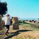 북스테이동상 이미지