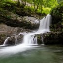 평창군 종합관광안내소 | [강원도 평창군] 막동계곡