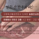 한우축산물공판장