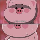 나우데이