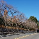 완월 새뜰 공동홈 | [창원시보 228호, 15] 추억의 마산 산복도로, 문화의 거리를 꿈꾸며