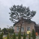 창의어린이집 | KIB 2차 교사교육 후기 - 송림 꽃무지 풀무질 어린이집
