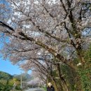 지리산펜션산장 | 구례 지리산 맛집 고향산장 재방문한 이유