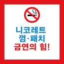 누구나카클리닉전문정비 | 니코레트 껌·패치 효과와 부작용, 사용법과 후기까지 A to Z