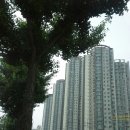 신성대림공인중개사사무소 이미지