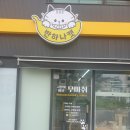 파주고양이미용 반하나캣 이미지