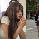 정연