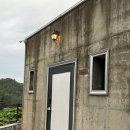 블랙트리하우스 이미지