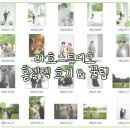(라흐9) 남양주 웨딩 토탈샵 라흐스튜디오 홈셀렉 후기, 사진 고르는 꿀팁