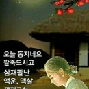 동지 팥죽 드시고 건강하세요~^^ 이미지