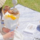 아기성공연구소