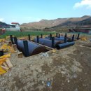 진도농협 의신지점 주유소 이미지