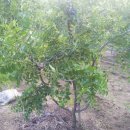 가은농장 이미지