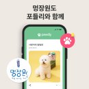 멍장원 이미지