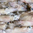 울릉도식당 이미지