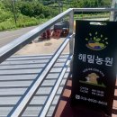 구학리 산채관광 마을 | 하동 당일치기 여행코스 동백관광 이용후기, 고성귀농인협의회