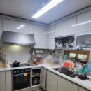 부평 페트 이미지