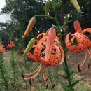 울안농장 이미지