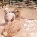 있지100