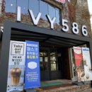 아이비586 이미지