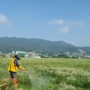 친환경대한민국 주식회사 이미지