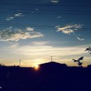 라오스커피 - 수영구 연수로302번길 25 | 라오스커피