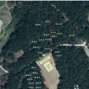 파인힐 캠프 이미지