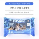 샤인펫 (Shine pet) 이미지