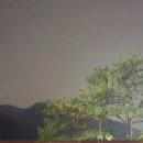 자연에서 얻은 참다운 삶 | 평택용한점집 신점 신년운세 상담으로 얻은 삶의 변화