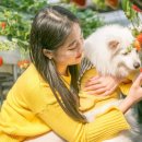 고트래블 이미지