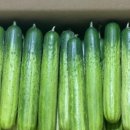 마켓 바른 네이버블로그